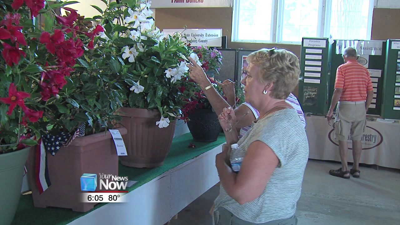 Fruits and veggies lacking for Auglaize County Fair competitions 2.jpg